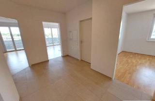 Wohnung mieten in 3451 Michelhausen, geräumige 3-Zimmerwohnung mit optimalem Grundriss im Wohnpark Tullnerfeld - im Grünen wohnen, aber in der Stadt arbeiten - Tiefgaragenplatz optional möglich!