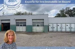 Gewerbeimmobilie mieten in 2514 Traiskirchen, TOP – LAGER – BOX!