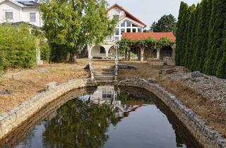 Einfamilienhaus kaufen in 2100 Leobendorf, Außergewöhnliches Einfamilienhaus mit zwei Wohneinheiten, großem Garten und Gästehaus in Leobendorf
