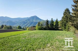 Grundstück zu kaufen in 9161 Göltschach, Großzügiges Baugrundstück mit 2.338 m² in sonniger Aussichtslage – Ruhe, Natur und Weitblick in die Karawanken