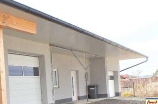 Geschäftslokal mieten in 3454 Reidling, LAGER bzw Werkraum/Verkaufsraum in Sitzenberg-Reidling zu mieten. Tulln, Krems, St. Pölten je ca. 20 km