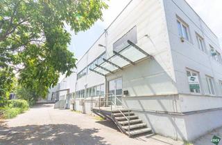 Büro zu mieten in Trauzlgasse, 1210 Wien, Büro mit großem Lager direkt bei der A22