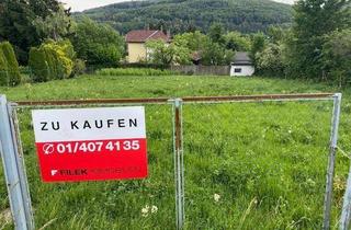 Grundstück zu kaufen in An Der Viehhoferin, 3021 Pressbaum, PREISREDUKTION einmalige Gelegenheit Tolle Lage in Pressbaum