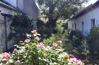 Einfamilienhaus kaufen in 2752 Wöllersdorf, Lebe lieber ungewöhnlich! ... mit Ausbaumöglichkeit für Ordination, Kanzlei, Geschäftslokal, ...
