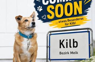 Haus kaufen in 3233 Kilb, Haus Michael - ein Zuhause mit Substanz Sucht Neue Eigentümer!