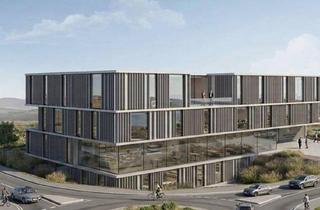 Garagen mieten in 9330 Althofen, Hochwertige Gewerbe- und Büroflächen in Neubauprojekt zur Vermietung