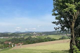 Grundstück zu kaufen in 4785 Freinberg, Land.Leben - Wunderschönes Baugrundstück mit Aussicht in Freinberg