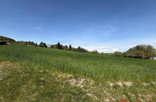 Grundstück zu kaufen in 4902 Gstaudet, Baugrund in grüner Siedlungsrandlage