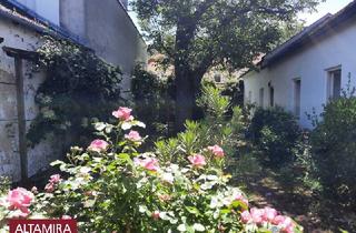 Einfamilienhaus kaufen in 2752 Wöllersdorf, Lebe lieber ungewöhnlich! ... mit Ausbaumöglichkeit für Ordination, Kanzlei, Geschäftslokal, ...