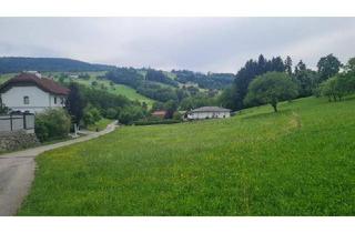 Grundstück zu kaufen in 3353 Seitenstetten, Ländliches Leben, Ruhe und Zusammenhalt!