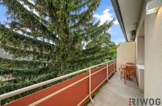 Wohnung kaufen in 2500 Baden, Zentrale und hochwertig Sanierte 1-Zimmer-Wohnung mit SÜD-WEST-Terrasse und Grünblick in gepfegter Anlage