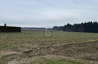 Grundstück zu kaufen in 8424 Gabersdorf, RUHIGE LAGE - ZUSÄTZLICHE FLÄCHEN MÖGLICH