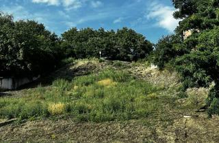 Grundstück zu kaufen in 4710 Grieskirchen, Bauland in Grieskirchen - 1.312 m² ohne Bauzwang