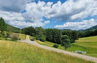 Grundstück zu kaufen in Stiftung, 4294 Sankt Leonhard bei Freistadt, Ruhiges Baugrundstück Mitten in der Natur mit Eigenem Wald!