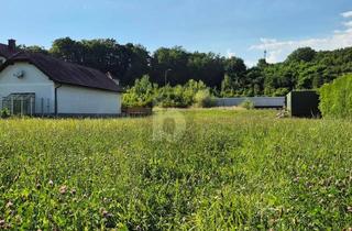 Grundstück zu kaufen in 3372 Blindenmarkt, Attraktives Baugrundstück ohne Bauzwang Nahe Amstetten
