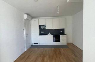 Wohnung mieten in 1020 Wien, Erstbezug: Neu errichtete 2 Zimmer Dachgeschosswohnung mit Balkon
