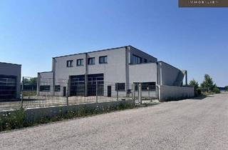Büro zu mieten in 2442 Unterwaltersdorf, HALLEN | BÜRO | FREIFLÄCHEN | ab sofort in Unterwaltersdorf zur Miete