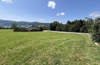 Grundstück zu kaufen in 4893 Zell am Moos, 1.907 m² warten auf Ihre Pläne