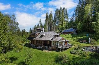 Almhütte zu kaufen in 9431 Sankt Stefan, Perfekte Natur- und Ruhelage auf der Koralpe-Kärnten