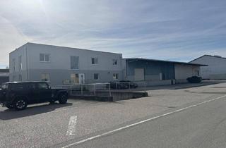 Büro zu mieten in 4063 Hörsching, 1050 m² Halle, 200 m² Büro, 24 Stundenzufahrt eigene Tankstelle. KAUFPREIS AUF ANFRAGE Ideal für eine Spedition sofort verfügbar