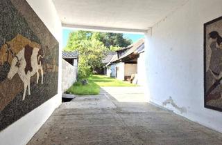 Haus kaufen in 7373 Piringsdorf, Renovierungsbedürftiger Landhaus Bungalow mit Potential