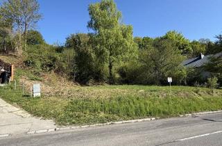 Grundstück zu kaufen in I.s.t. Austria, 3413 Hintersdorf, Maximale Optionen!