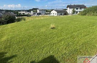Haus kaufen in 4675 Weibern, Traum-Bungalow - Traumhaftes Wohnen auf einer Ebene! Ganz ohne Stress!