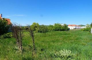 Grundstück zu kaufen in 7083 Purbach am Neusiedler See, WOHNEN AM RANDE SCHÖNER NATUR GRÜNRUHELAGE