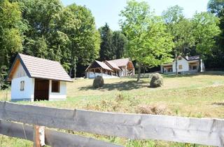 Einfamilienhaus kaufen in Wittmannsdorf, 8093 Sankt Peter am Ottersbach, EINFAMILIENHAUS + NEBENGEBÄUDE MIT POOL IN ABSOLUTER RUHELAGE