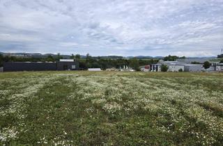 Grundstück zu kaufen in 4209 Engerwitzdorf, Betriebsbaugrund Engerwitzdorf