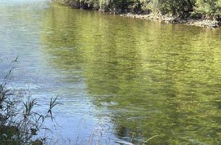 Immobilie kaufen in 9611 Nötsch, 5,7 km Fliegen - Fischwasser Kärnten