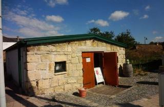 Grundstück zu kaufen in 7083 Purbach am Neusiedler See, Einzigartige Gelegenheit - Gemütlicher Wein- und Partykeller!