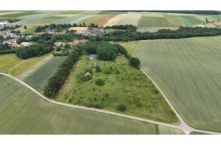 Villen zu kaufen in 3742 Theras, Villa auf Traumgrundstück I 33.457m² I 240m² Wohnfläche I Sauna I Garage I Altbaumbestand