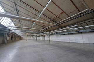 Büro zu mieten in Süddruckgasse, 2512 Tribuswinkel, A2 Baden: Flexible Lagerflächen