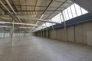 Büro zu mieten in Süddruckgasse, 2512 Tribuswinkel, A2 Baden: Flexible Lagerflächen