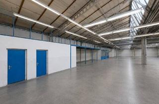 Büro zu mieten in Süddruckgasse, 2512 Tribuswinkel, A2 Baden: Flexible Produktionshalle geeignet für Werkstatt, Produktion und Lager