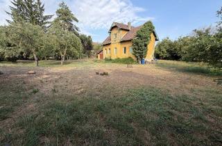Grundstück zu kaufen in 3441 Baumgarten am Tullnerfeld, Zwei Baugrundstücke oder Gesamtliegenschaft – Sie entscheiden!