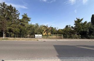 Grundstück zu kaufen in 3441 Baumgarten am Tullnerfeld, BAUGRUND IN BAUMGARTEN – 2 Baugrundstücke mit 631 m² & 633 m² | auch gemeinsam erwerbbar