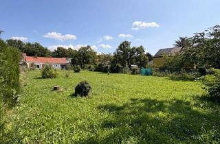 Grundstück zu kaufen in 2241 Schönkirchen-Reyersdorf, Verwirklichen Sie Ihre Wohn-Träume in Schönkirchen Reyersdorf!