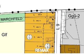 Grundstück zu kaufen in 2285 Leopoldsdorf im Marchfelde, Bau von mindestens 2000 m² Wohnungen in Bahnhofsnähe