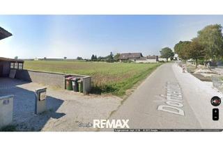 Grundstück zu kaufen in 2295 Oberweiden, SONNIG GELEGENE GRUNDSTÜCKE IN RUHELAGE - OBERWEIDEN