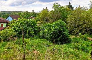 Grundstück zu kaufen in 2751 Steinabrückl, Weitblick Ins Grüne - von Villa bis Zwei Doppelhäuser Möglich