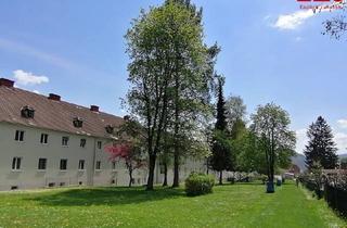 Wohnung mieten in Reichensteinstraße 11, 8793 Trofaiach, Neu sanierte, 2-Zimmerwohnung mit Balkon und Ausblick ins Grüne!