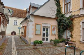 Gewerbeimmobilie kaufen in 2340 Mödling, BESTE LAGE ECKLOKAL Klostergasse Ecke Sebastian Kneipp-Gasse