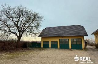 Gewerbeimmobilie mieten in 4600 Wels, Oldtimer-Halle-Miete Wels/Nord