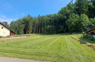 Grundstück zu kaufen in 4421 Aschach an der Steyr, Baugrundstück in Waldrandlage - Fernblick, Naturidyll und Abendsonne Inklusive - Aschach A. D. Steyr/Am Hang