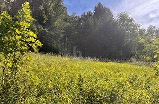 Grundstück zu kaufen in 4782 Sankt Florian am Inn, Ruhiges Hanggrundstück in Idyllischer Waldrandlage