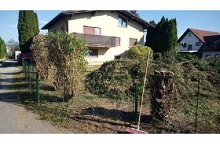 Haus mieten in 6972 Fußach, Großzügiges EFH in Fußach - Miete