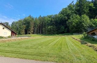 Grundstück zu kaufen in 4421 Aschach an der Steyr, Baugrundstück in Waldrandlage - Fernblick, Naturidyll und Abendsonne inklusive - Aschach a. d. Steyr/Am Hang