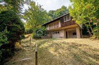 Grundstück zu kaufen in 2381 Laab im Walde, Großes GRUNDSTÜCK mit fast 4.000 m² in Ruhelage mit viel Potential im sonnigen SÜDHANG nahe WIEN